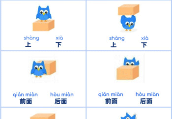 Cấu trúc vật gì ở đâu trong tiếng trung