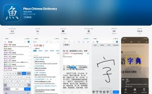 Từ điển Pleco Chinese Dictionary